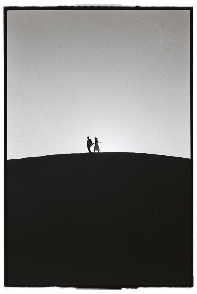 whereroseswait-1036