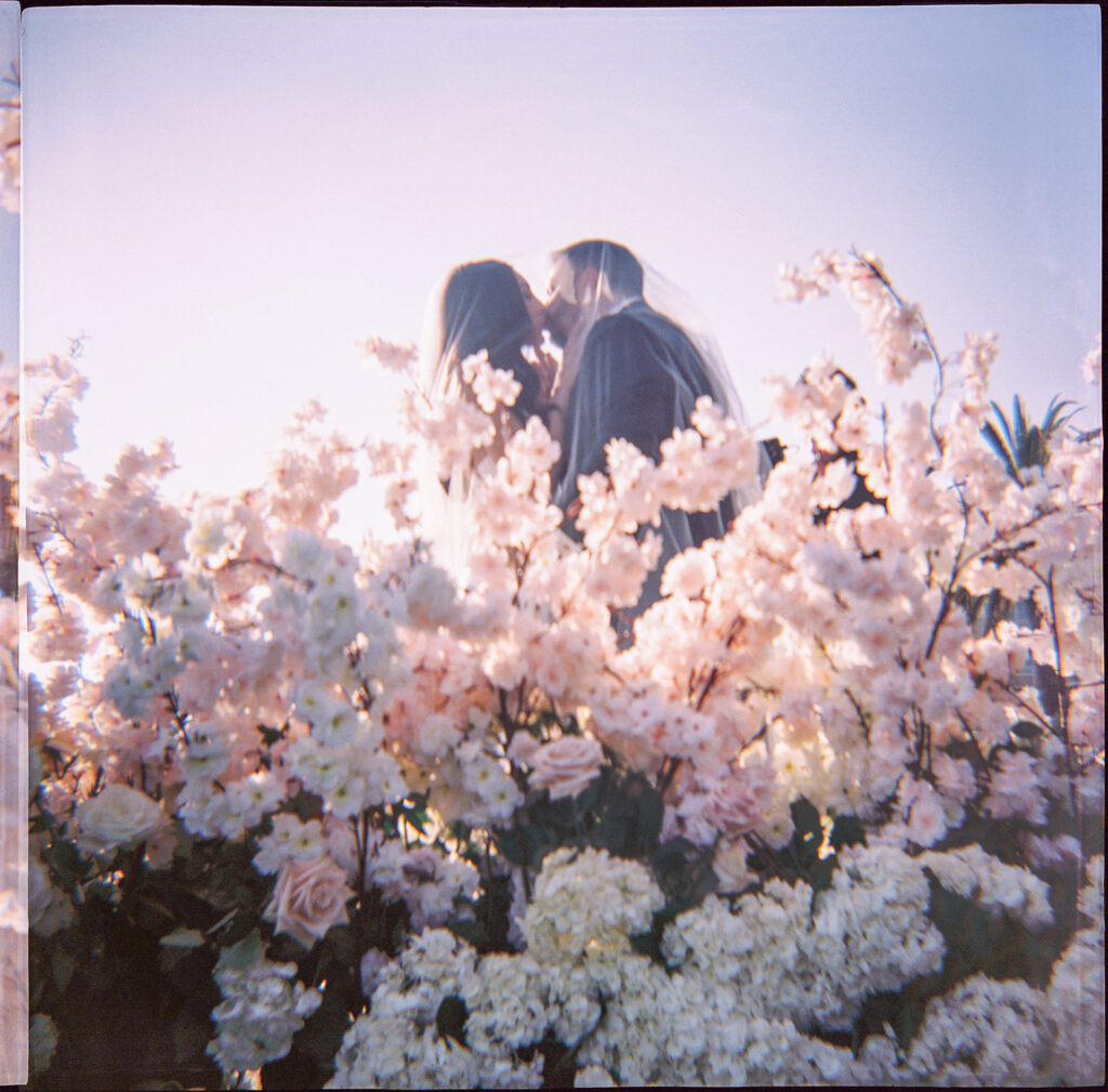 whereroseswait-1078