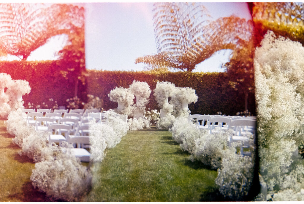 whereroseswait-1127