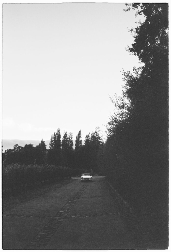 whereroseswait-1138