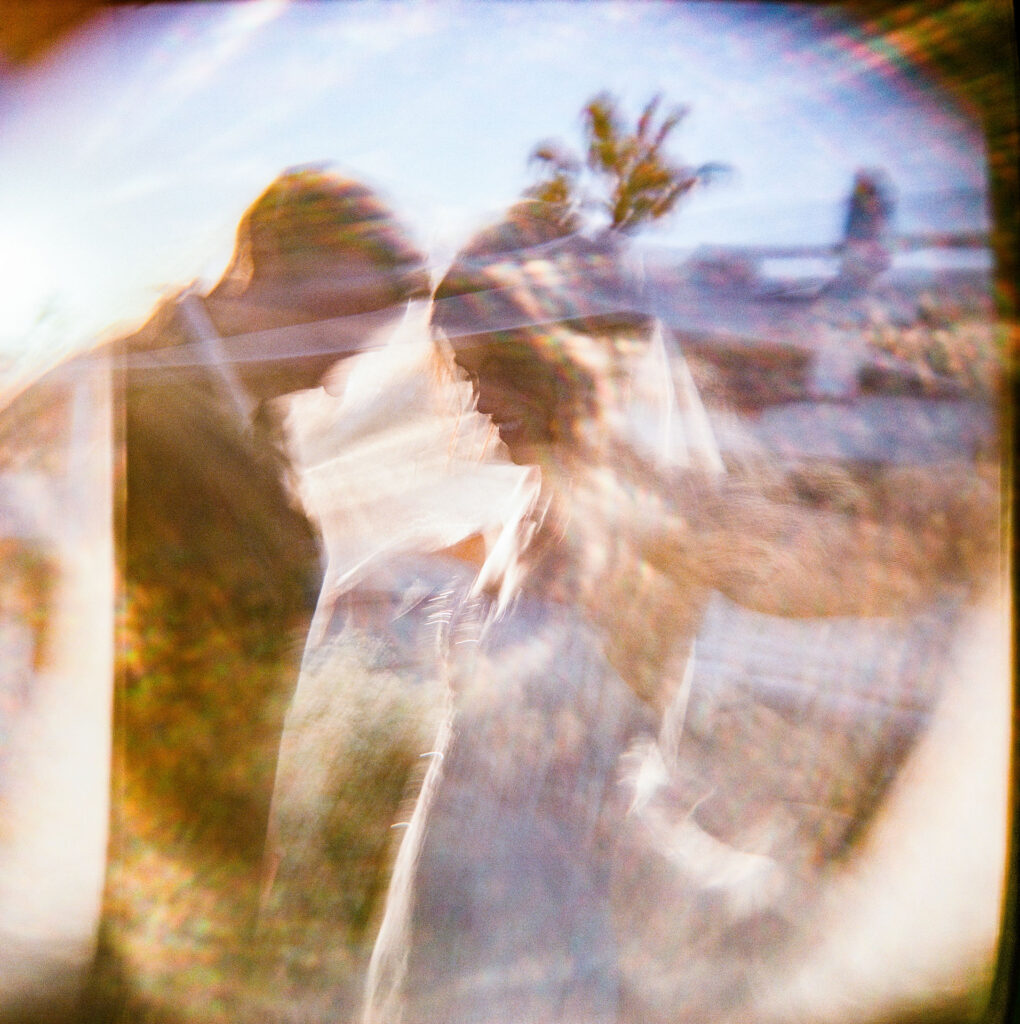 whereroseswait-1206