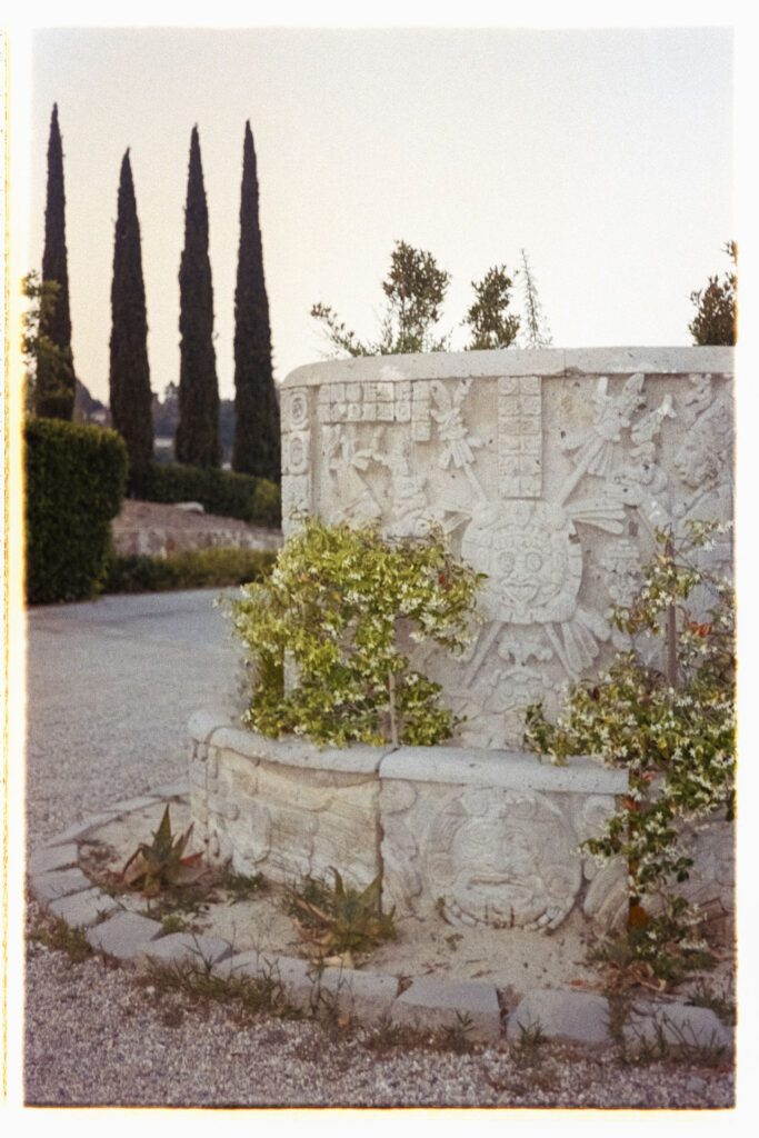 wrw-hannah-bronson-102